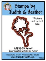 Die E-53 Aster